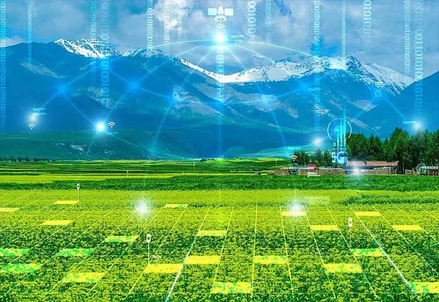 ZONEWU تطلق شبكة LoRaWAN للزراعة الذكية